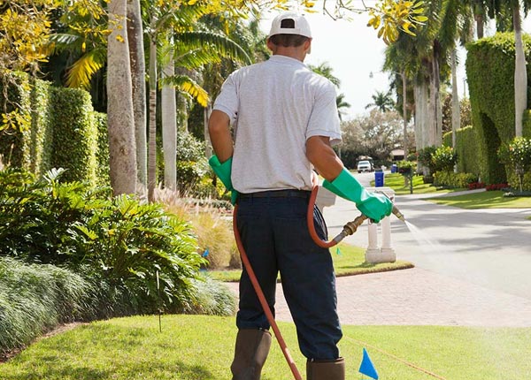 About Woodstock NY Pest Control